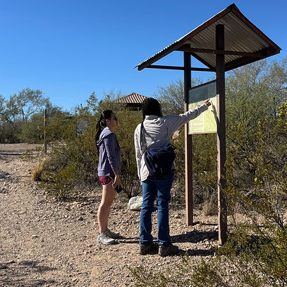 Image description below