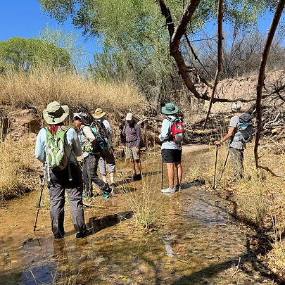 Image description below