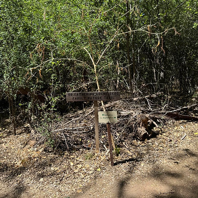 Image description below