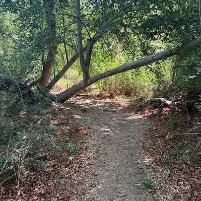 Image description below