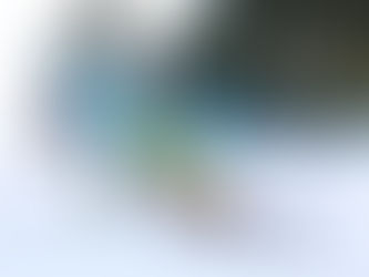 ARRIETTA RODRIGUEZ ELOSEGUI SELECCIONADA PARA LAS OLIMPIADAS DE MILANO-CORTTINA 2026