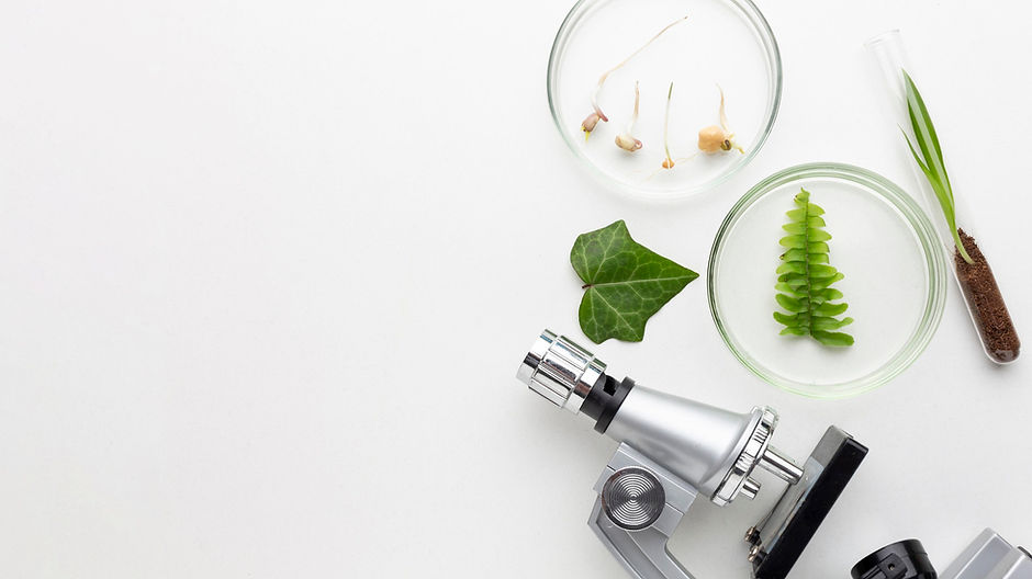 view-plants-laboratory-items_edited.jpg