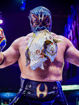 Wrestling in 2024: A Review - Top 20 Wrestlers of the Year