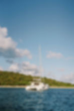 AlaynaKayePhotography-meow2024-02022_websize