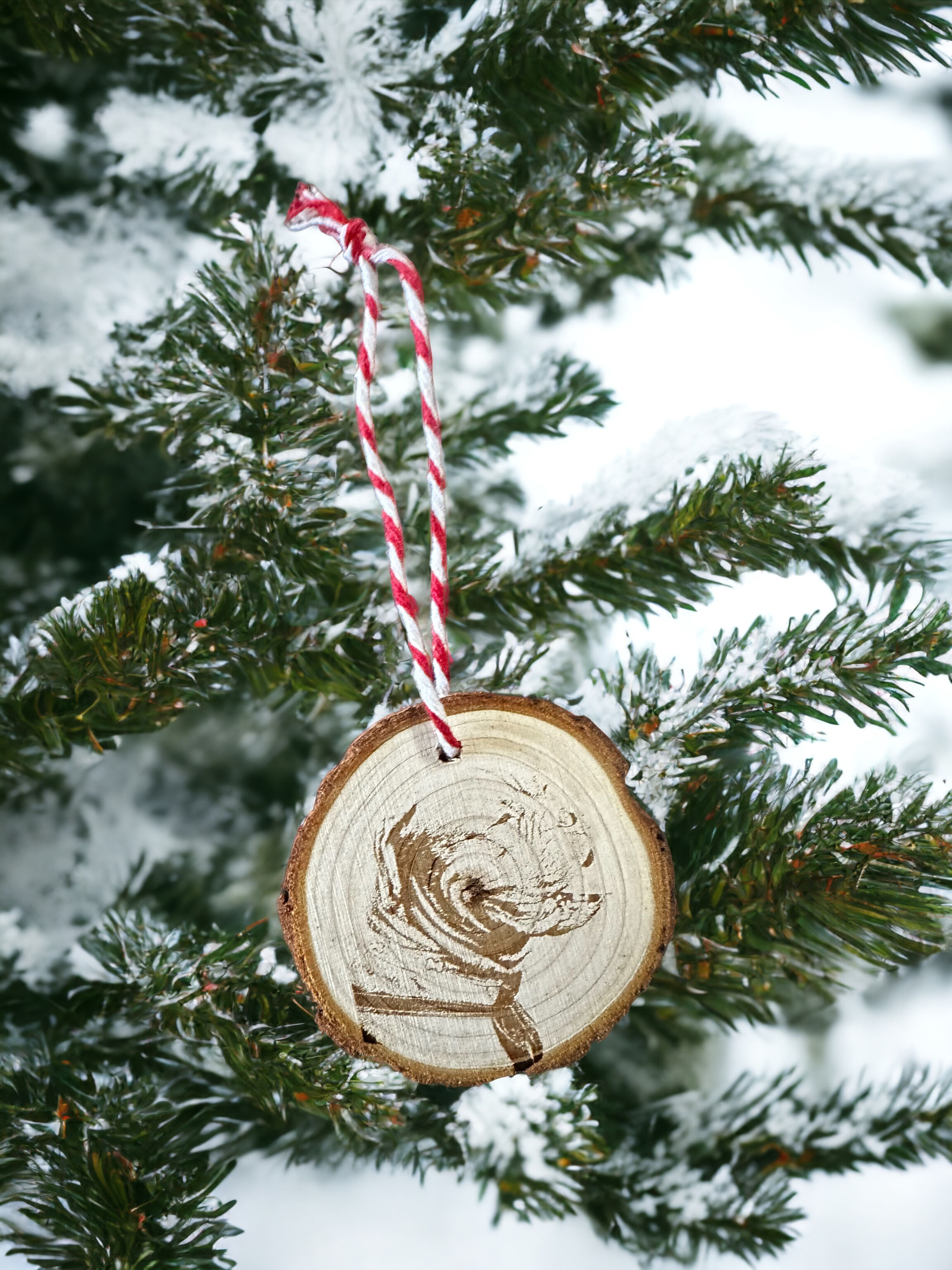 Wood Slice Christmas Decoration