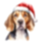 Beagle - Style 5