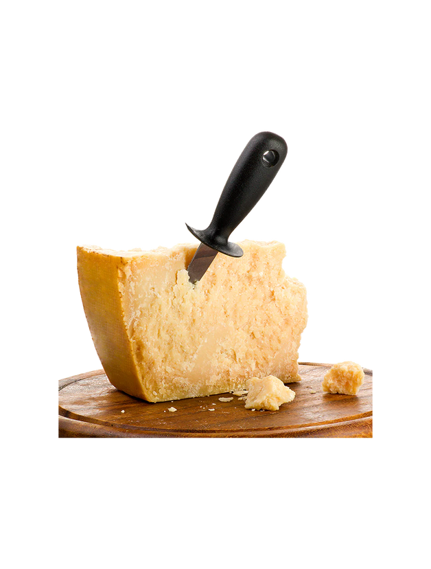 Solo di Bruna Parmigiano Reggiano