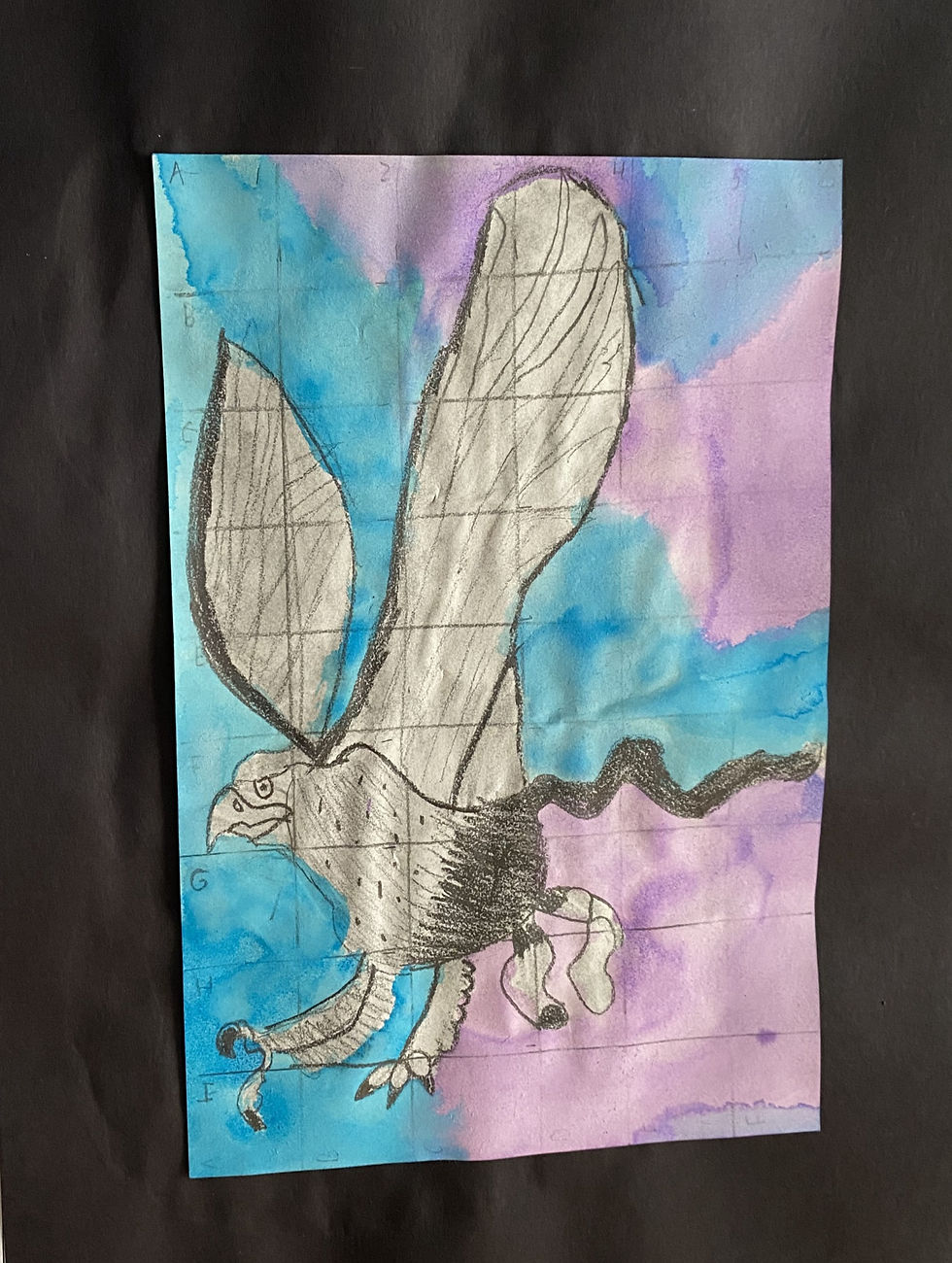 Carter- Griffon