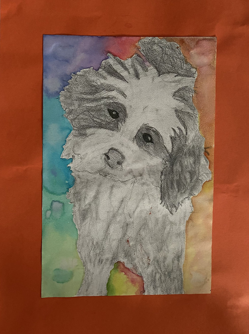 Dahlia-Dog