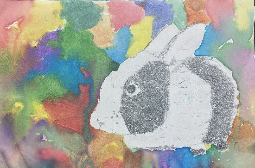 Meibel-Bunny