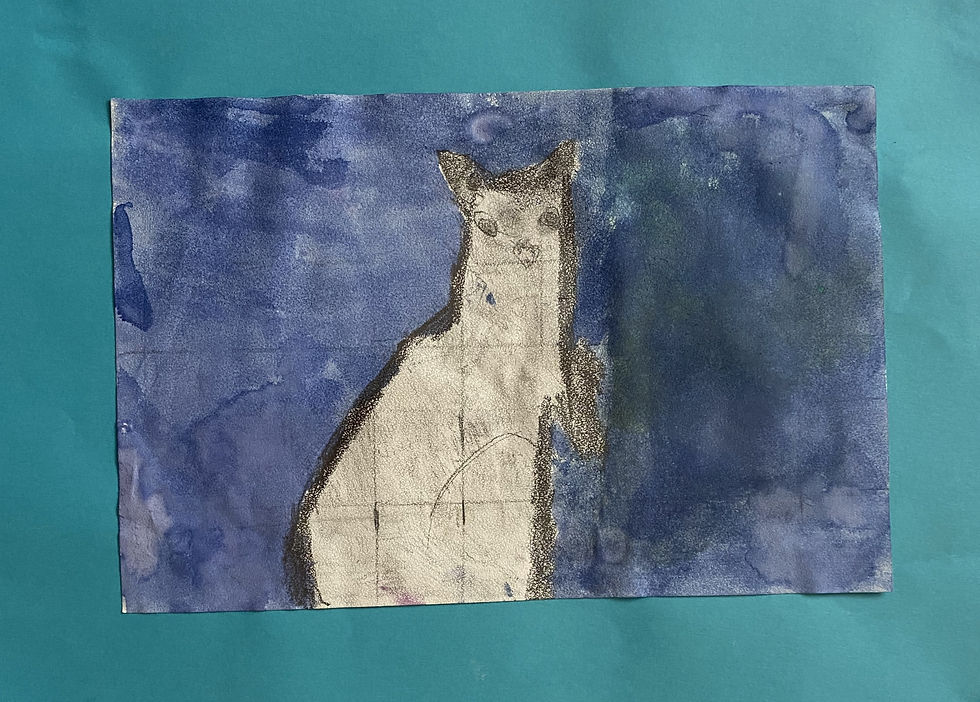 Noah- Llama