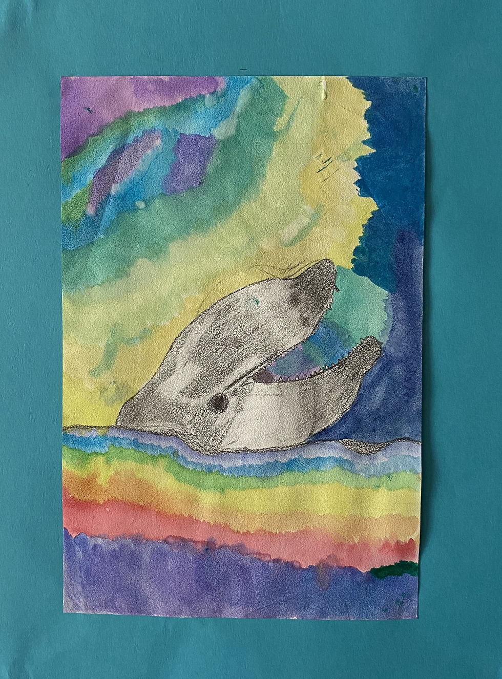 Julie- Dolphin