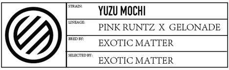EMgeneticinfo-13.png