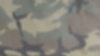 Kele 6 Camo.jpg