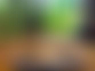 BEFRIEND AGRISCULPTURE