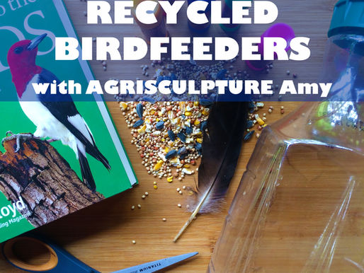 "RECYCLED BIRDFEEDERS WITH AGRISCULPTURE AMY" - WORKSHOP FOR JARRETT MARKEL CREATIVITY BOOTCAMP