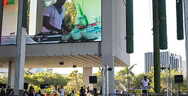 Digital Art, Dolphins and Dance Music: Pérez Art Museum Makes Miami a Living, Breathing Canvas