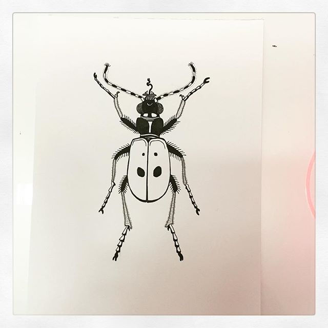 Some kind of #beetle #insect it's happy I guess #drawing #pen & #ink #graphic #artwork #encyclopedia