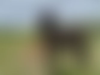 Have You Ever Felt You Knew Someone the Moment You Met Them?