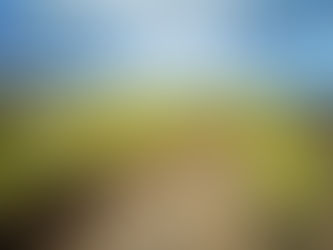 hypnotherapy, synchronicity, alignment, past lives, past lives regression, life between lives.