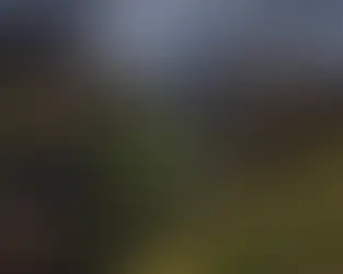 Why Do Certain Numbers Keep Appearing?