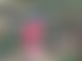 【12 月13日 交流活動報告】