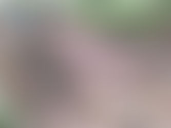 【6/27(土)里山整備作業の報告】
