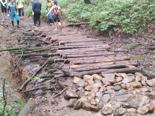 【6/27(土)里山整備作業の報告】