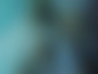 Stephan Franck Gets Animated Over His Neo Noir 'Palomino'