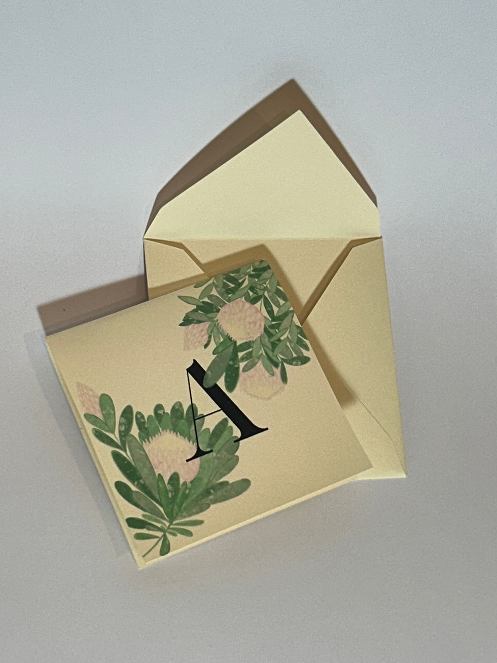 Miniatura: Cartão Protea Letras