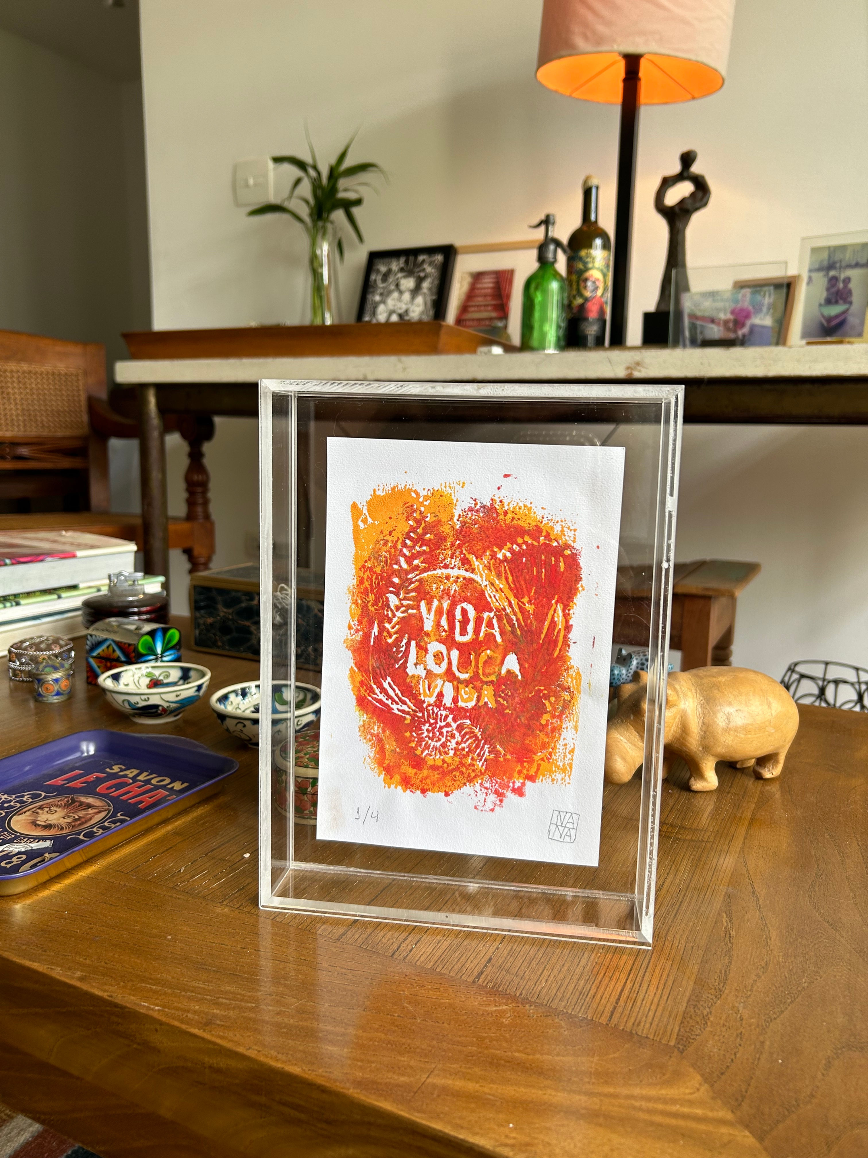 Vida Louca Vida, montagem em acrílico 16x20cm