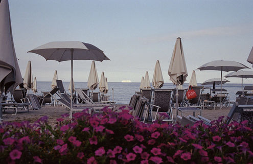 Beach with umbrellas and flowers looking out to sea.