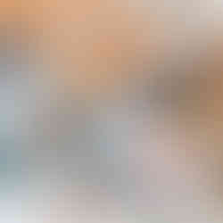 Ceramic Dogs Wall Decorations