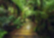 Jane's Image.jpg