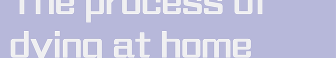 Image-7-S.png