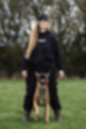 Dog Training Hoody.jpeg