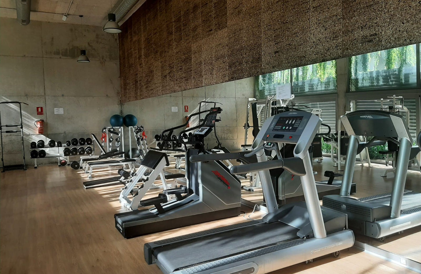 Gimnasio-3.jpeg