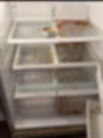 Dirty refrigerator, before picture.