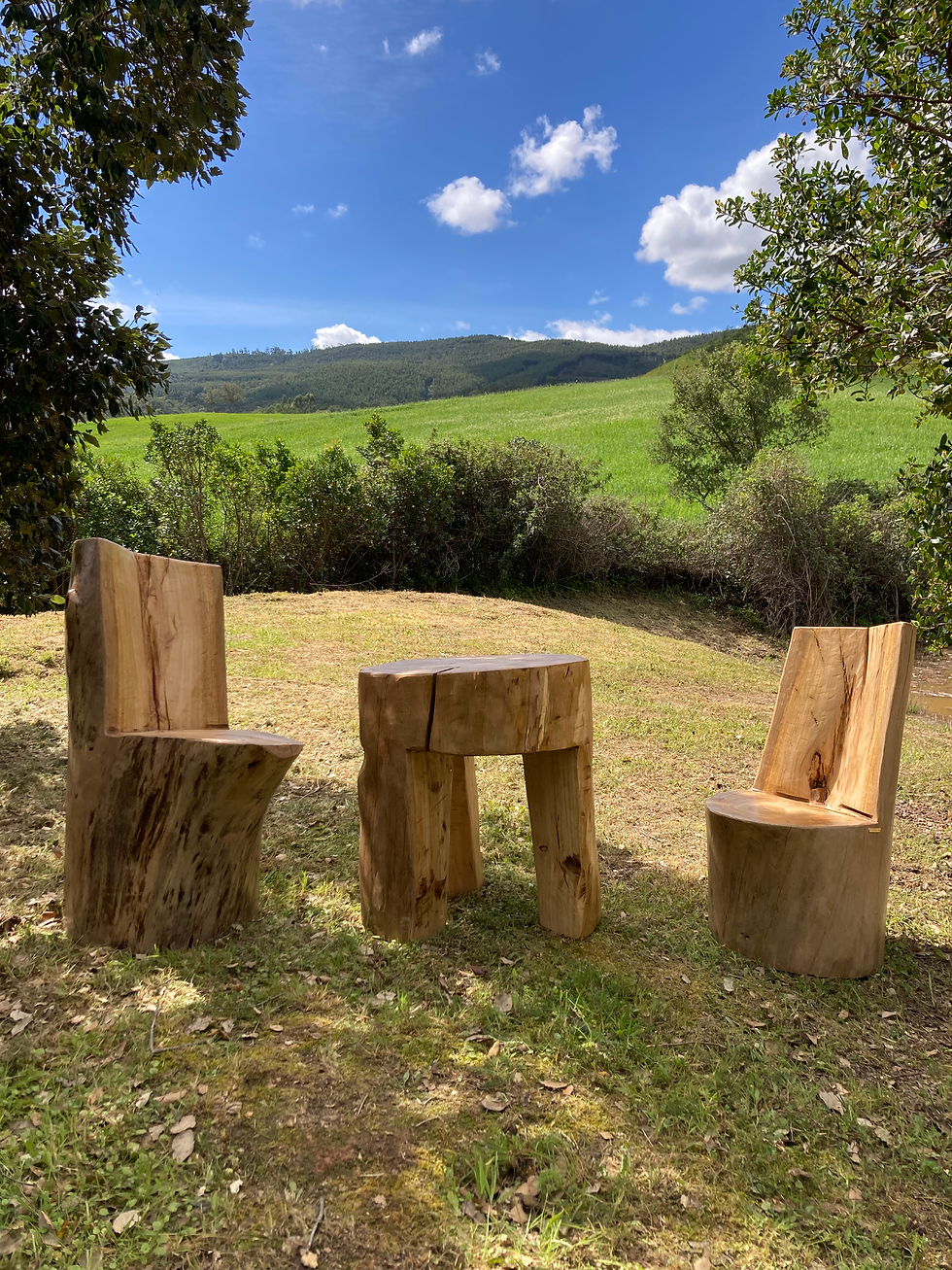 Miniatura: Set Trunk-Table & Benches