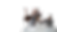 website images (6).png