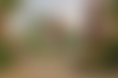 Why Chiang Mai, Thailand Feels Like the Perfect Home Base for Intentional Nomads