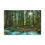 Thumbnail: Whistler Canada Forest Beautiful Landscape Photograph Canvas Gallery Wraps