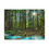 Thumbnail: Whistler Canada Forest Beautiful Landscape Photograph Canvas Gallery Wraps