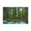 Thumbnail: Whistler Canada Forest Beautiful Landscape Photograph Canvas Gallery Wraps