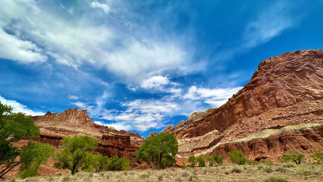 Why You Should Add Capitol Reef to Your Next Utah Road Trip