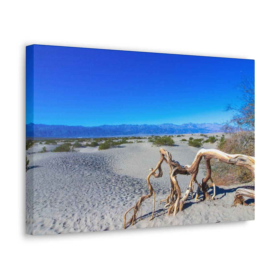 Thumbnail: Death Valley National Park Beautiful Landscape Photograph Canvas Gallery Wraps
