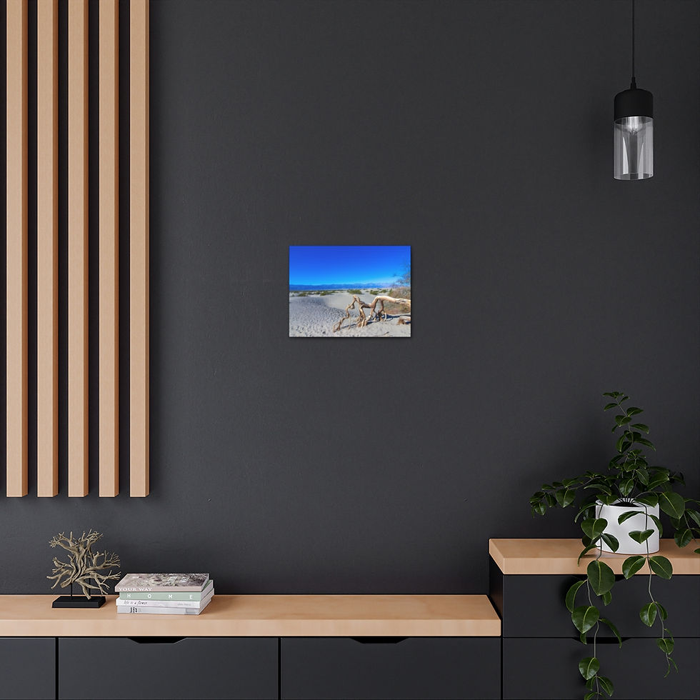 Thumbnail: Death Valley National Park Beautiful Landscape Photograph Canvas Gallery Wraps