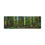 Thumbnail: Whistler Canada Forest Beautiful Landscape Photograph Canvas Gallery Wraps
