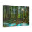 Thumbnail: Whistler Canada Forest Beautiful Landscape Photograph Canvas Gallery Wraps