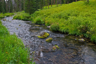 Gallatin Range Creek - Howie Wolke